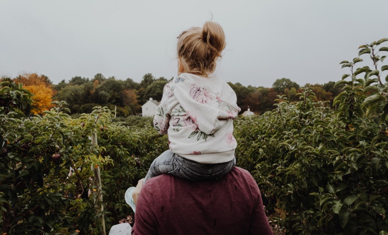 Un papa qui porte sa fille sur ses paules dans un champs d'arbre fruitié